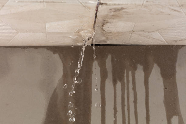 Professional Water Damage Repair technician working in Minersville, PA